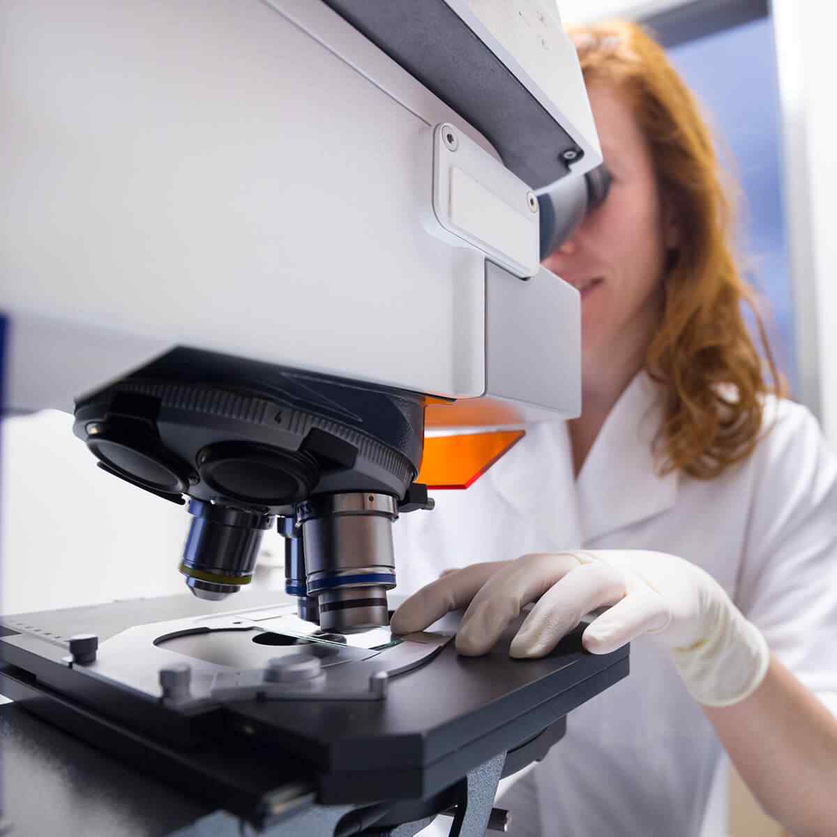 Tür Tayin Real-Time PCR Kitleri